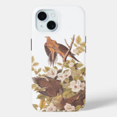 Audubons Carolina Turtle Dove Case-Mate iPhone Hülle (Rückseite)