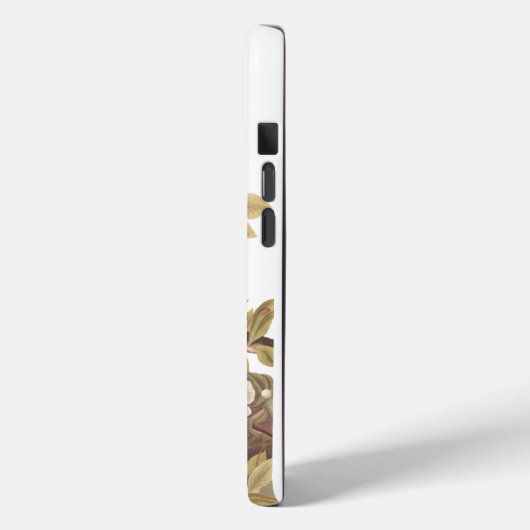 Audubons Carolina Turtle Dove Case-Mate iPhone Hülle (Rückseite / Links)