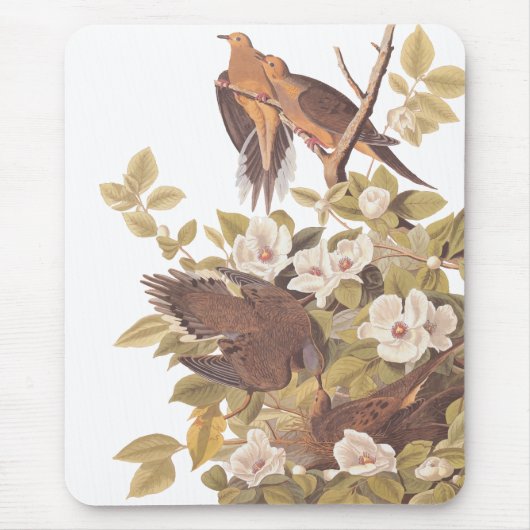 Audubons Carolina Turtle Dove Mousepad (Vorne)