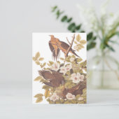 Audubons Carolina Turtle Dove Postkarte (Stehend Vorderseite)