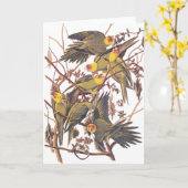 Audubons CarolinaParakeet Karte (Gelbe Blume)