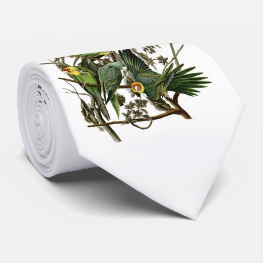 Audubons CarolinaParakeets Krawatte (Gerollt)