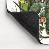 Audubons CarolinaParakeets Mousepad (Ecke)