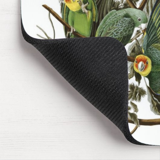 Audubons CarolinaParakeets Mousepad (Ecke)