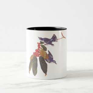 Audubons Cerulean Warbler Bird mit Red Berries Zweifarbige Tasse