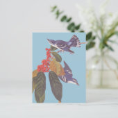 Audubons "Cerulean Warbler Bird Pair" mit Berries Postkarte (Stehend Vorderseite)