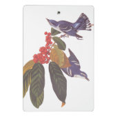 Audubons Cerulean Warbler Birds mit Bärenbeeren Mini Klemmbrett (Rückseite)