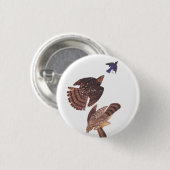 Audubons Coopers Hawk Bird of Prey Button (Vorne & Hinten)