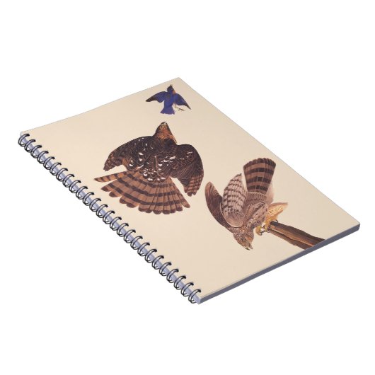 Audubons Coopers Hawk Bird of Prey Notizblock (Rechte Seite)