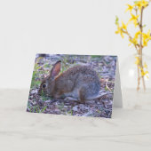 Audubons Cottontail Karte (Gelbe Blume)