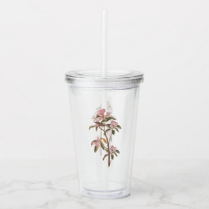 Audubon's Cuvier's Kinglet Bird auf Pink Calico Acryltrinkbecher
