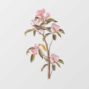 Audubon's Cuvier's Kinglet Bird auf Pink Calico Fensteraufkleber