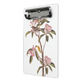 Audubon's Cuvier's Kinglet Bird auf Pink Calico Mini Klemmbrett (Gewinkelt2)