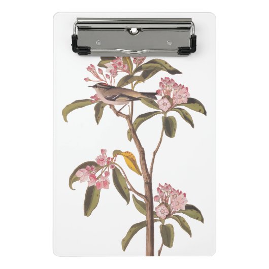 Audubon's Cuvier's Kinglet Bird auf Pink Calico Mini Klemmbrett (Vorderseite)