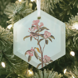 Audubon's Cuvier's Kinglet Bird auf Pink Calico Ornament Aus Glas