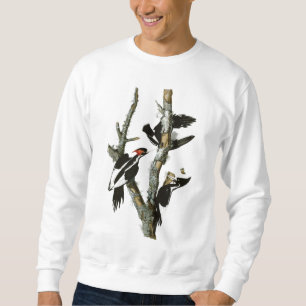 Audubons Elfenbein-berechneter Specht Sweatshirt