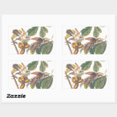 Audubons gelb gekleidete Kuckucksumpfe in Obstbaum Rechteckiger Aufkleber (Blatt)