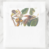 Audubons gelb gekleidete Kuckucksumpfe in Obstbaum Rechteckiger Aufkleber (Tasche)