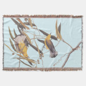 Audubons Gelber Prothonotar Warbler Bird Decke (Vorderseite)