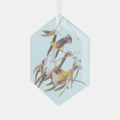 Audubons Gelber Prothonotar Warbler Bird Ornament Aus Glas (Vorderseite Links)