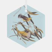 Audubons Gelber Prothonotar Warbler Bird Ornament Aus Glas (Rückseite)