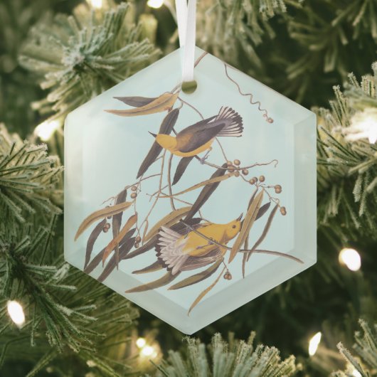 Audubons Gelber Prothonotar Warbler Bird Ornament Aus Glas (Insitu)