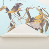 Audubons Gelber Prothonotar Warbler Bird Sherpadecke (3/4)