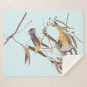 Audubons Gelber Prothonotar Warbler Bird Sherpadecke (Vorderseite (Horizontal))