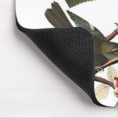 Audubons Gelbschnabel-Waldsänger Mousepad (Ecke)