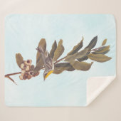 Audubons Gelbwurzelkraut auf Kastanien Sherpadecke (Vorderseite (Horizontal))