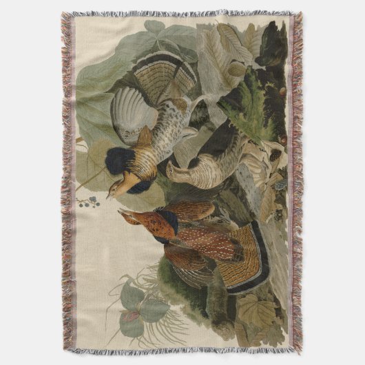 Audubons Gemälde eines Trios aus Ruffed Grouse Decke (Vorderseite Vertikal)