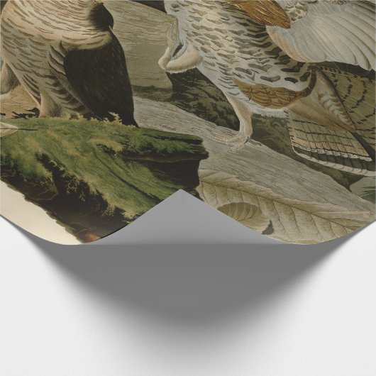 Audubons Gemälde eines Trios aus Ruffed Grouse Geschenkpapier (Ecke)