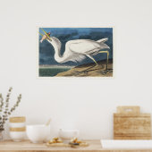 Audubons großartiges Wildtier Poster (Küche)