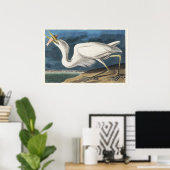 Audubons großartiges Wildtier Poster (Heimbüro)