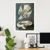 Audubons Gyrfalcon Poster (Heimbüro)