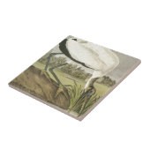 Audubons hölzerner Storch Fliese (Seite)