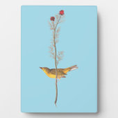 Audubons Hooded Warbler Bird auf der Roten Blume Fotoplatte (Vorderseite)