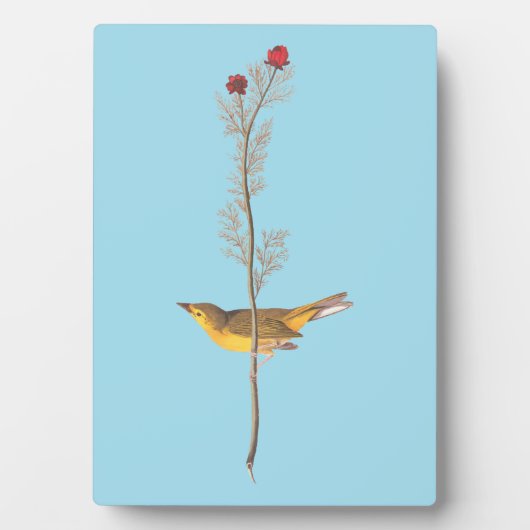 Audubons Hooded Warbler Bird auf der Roten Blume Fotoplatte (Vorderseite)