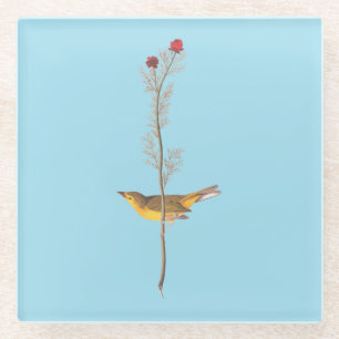 Audubons Hooded Warbler Bird auf der Roten Blume Glasuntersetzer