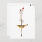 Audubons Hooded Warbler Bird auf der Roten Blume Postkarte (Vorne/Hinten)