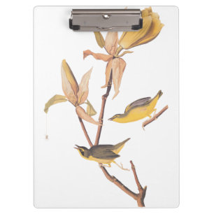 Audubons Kentucky-Warbler-Vogelparadies mit einer Klemmbrett