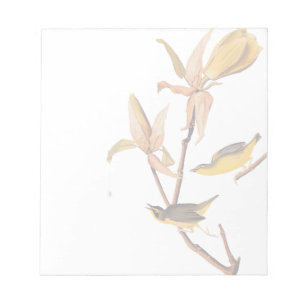 Audubons Kentucky-Warbler-Vogelparadies mit einer  Notizblock