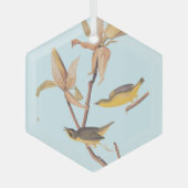 Audubons Kentucky-Warbler-Vogelparadies mit einer Ornament Aus Glas (Vorderseite)