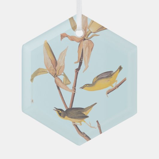 Audubons Kentucky-Warbler-Vogelparadies mit einer  Ornament Aus Glas (Vorderseite)