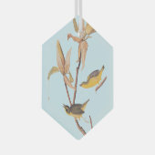 Audubons Kentucky-Warbler-Vogelparadies mit einer  Ornament Aus Glas (Vorderseite Rechts)