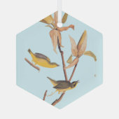 Audubons Kentucky-Warbler-Vogelparadies mit einer Ornament Aus Glas (Rückseite)