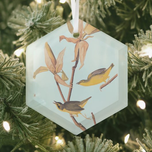 Audubons Kentucky-Warbler-Vogelparadies mit einer Ornament Aus Glas (Insitu)