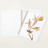 Audubons Kentucky-Warbler-Vogelparadies mit einer Planer (Anzeige)