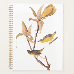 Audubons Kentucky-Warbler-Vogelparadies mit einer Planer