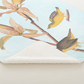 Audubons Kentucky-Warbler-Vogelparadies mit einer  Sherpadecke (3/4)